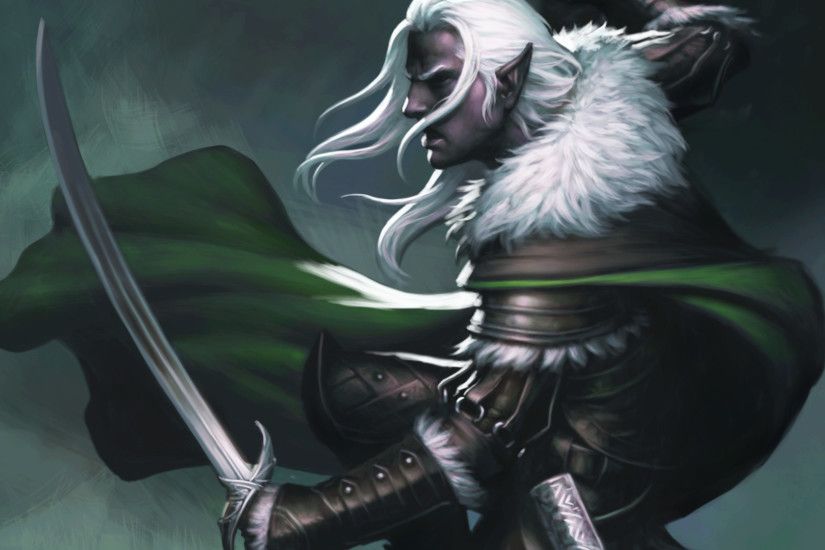 Neverwinter Other Drizzt Do'Urden's Ally