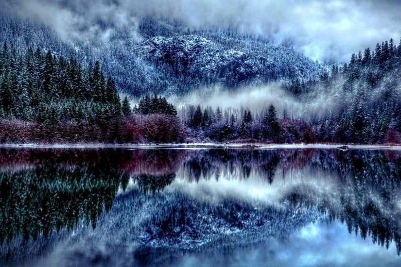 Winter Forest HD Wallpaper - Winter Season Desktop HD Wallpapers .