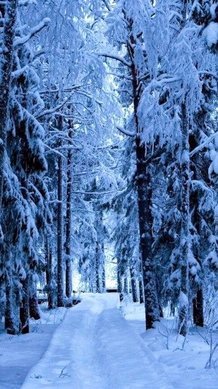 Click here to download Snow Forest Blue Ice Android Wallpaper Resolution  1080x1920 pixel
