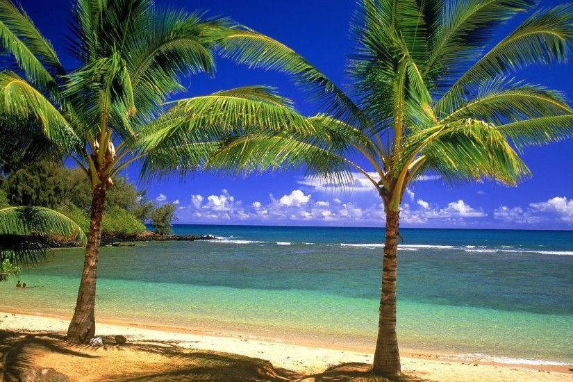 Amazing Beach Wallpapers HD for Android. Free Amazing Beach Wallpapers HD  application is a wallpaper collection of the beauty in the world.