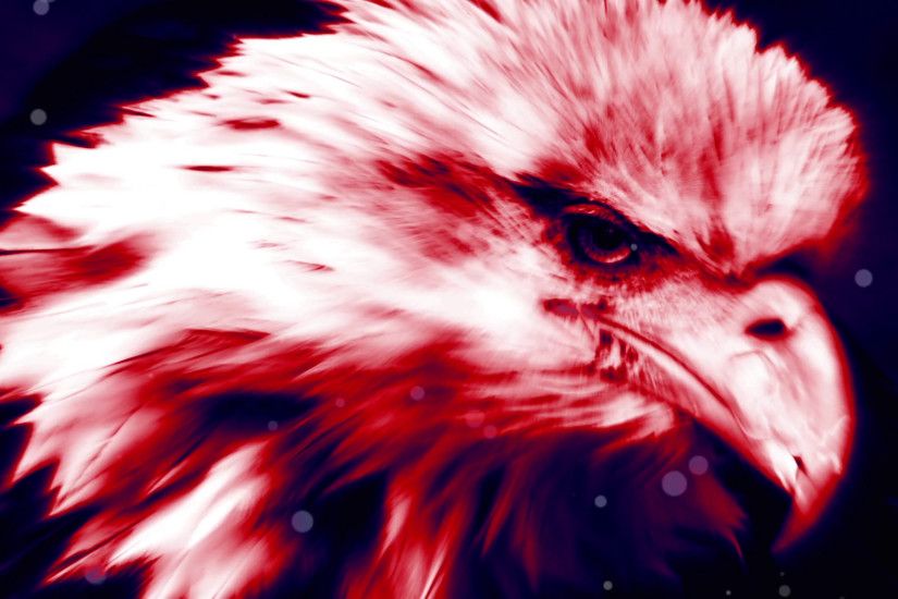 Usa Patriotic Eagle Head Background