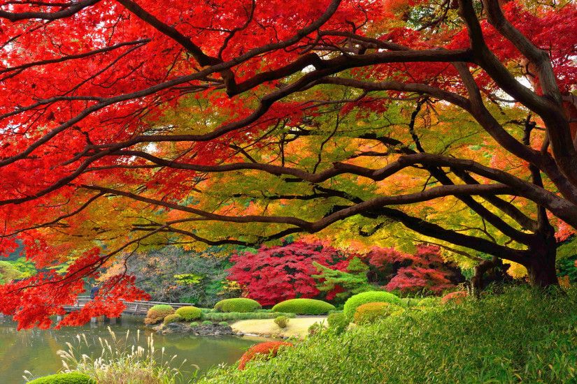 autumn-wallpaper-japan-hd Autumn Wallpaper Examples for Your Desktop  Background