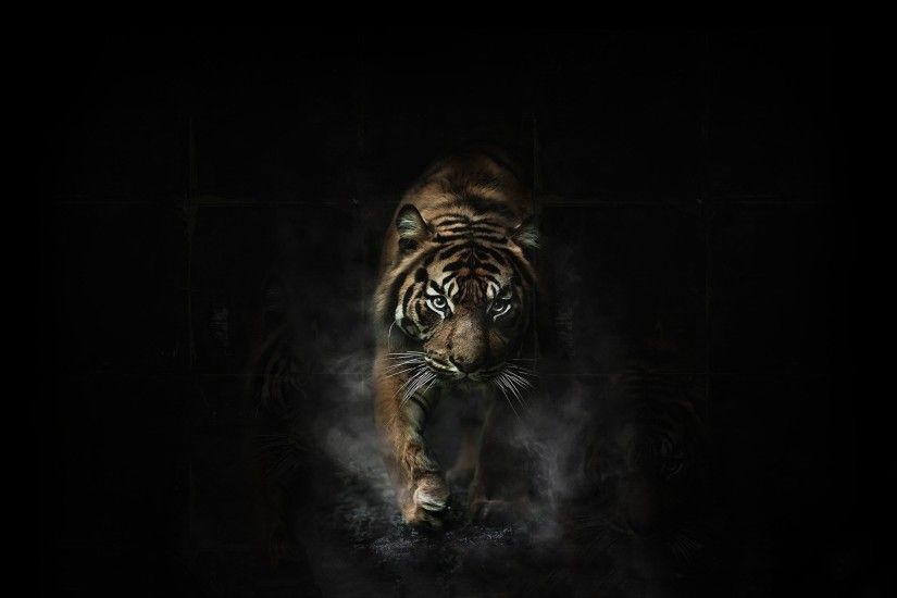 detroit tigers iphone wallpaper #431654