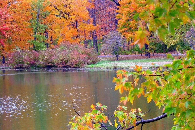 ... Full HD p Nature Wallpapers Desktop Backgrounds HD Pictures | HD ...  Autumn ...