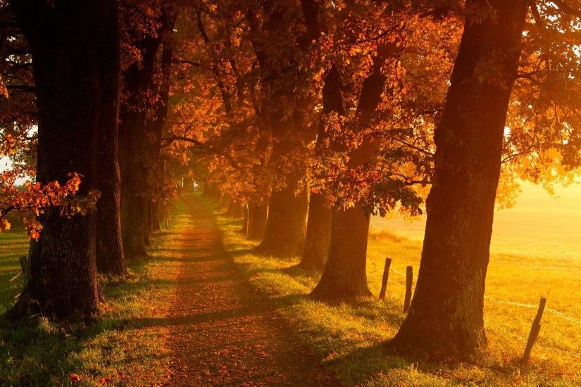 Autumn Scenery - Autumn Wallpaper (35580364) - Fanpop