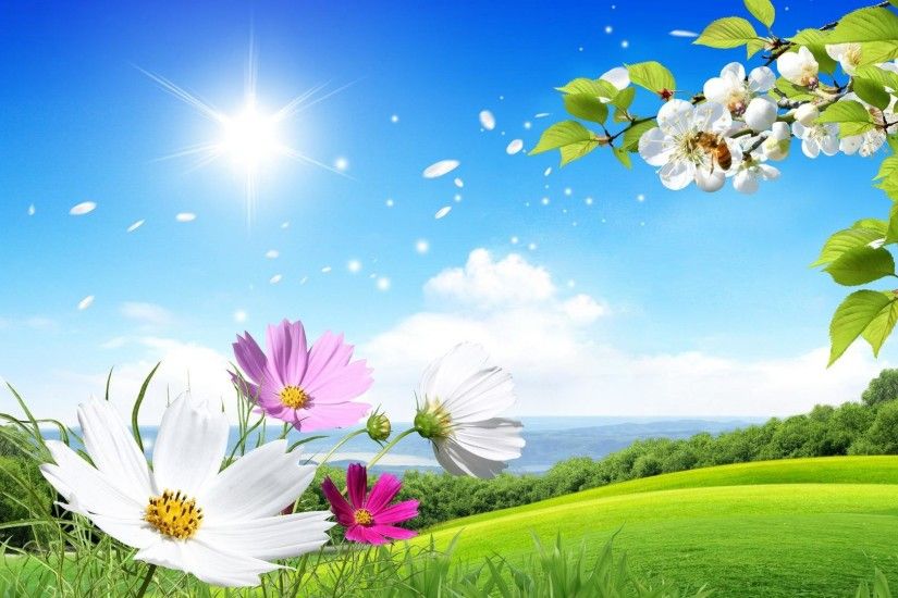 1920x1080 beautiful Summer and flowers scenery wallpaper wide wallpapers:1280x800,1440x900,1680x1050  -