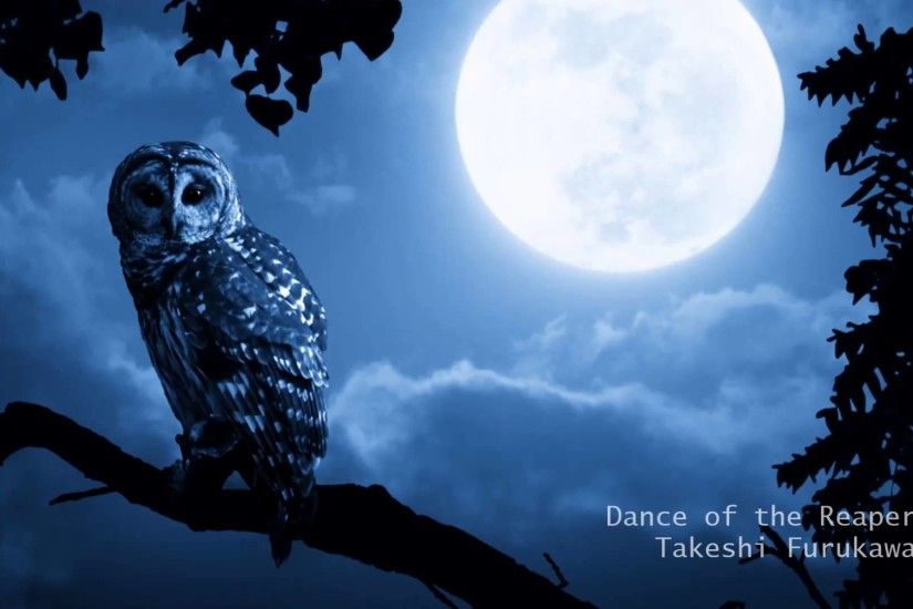 Epic Dark Fantasy Music - Dance Of The Reaper - Tim Burton inspired -  YouTube
