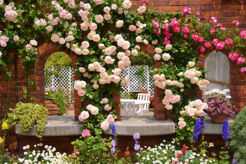 Rose Garden Wallpapers High Resolution