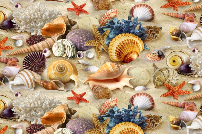 Download this wallpaper: Similar wallpapers: Seashell ...