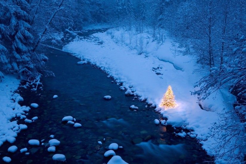 Winter trees lights christmas christmas trees iced earth Wallpaper