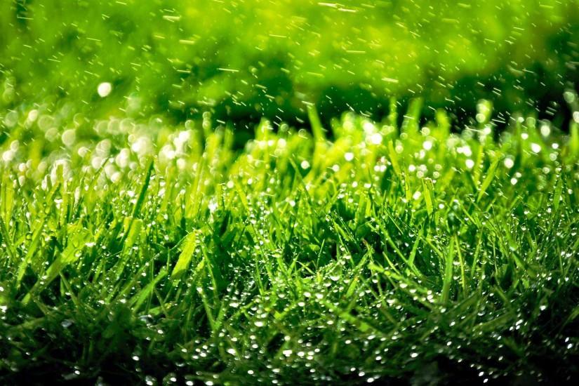 download free grass background 3040x1900 for computer