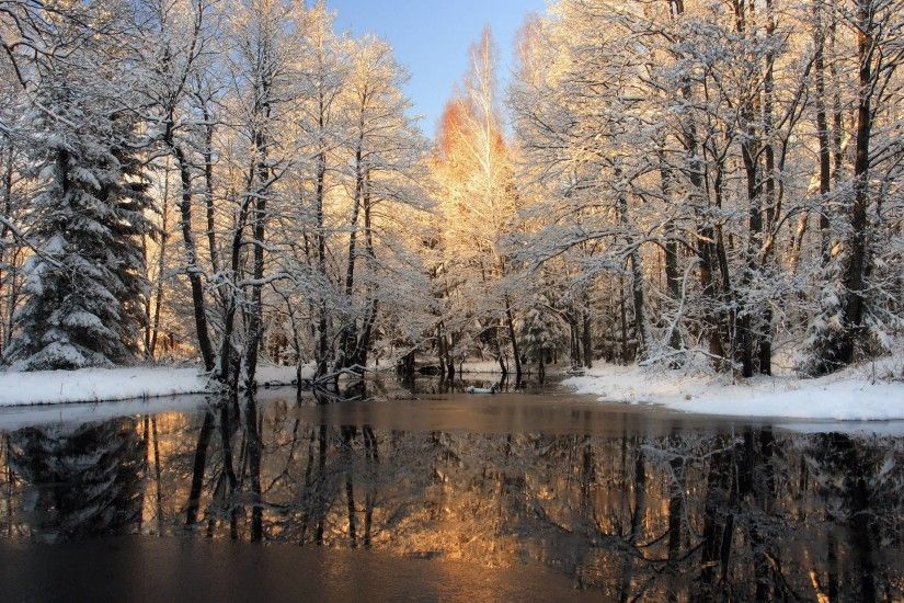 Winter Nature Image