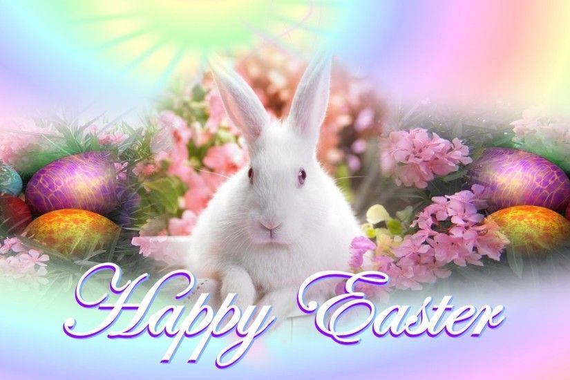 cute white rabbit bunny easter wishes hd background