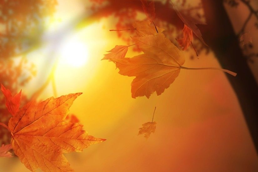 1920x1080 3D Autumn. How to set wallpaper on your desktop? Click the  download link from above and set the wallpaper on the desktop from your OS.