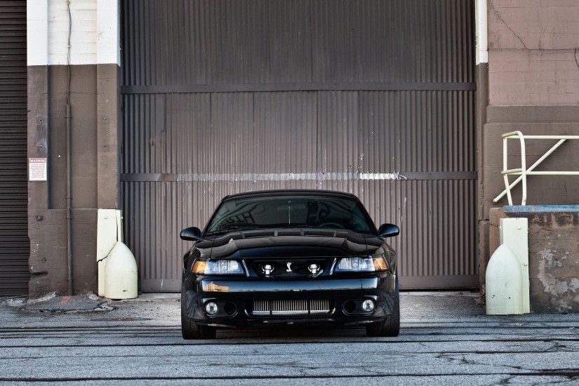 Mustang cobra terminator wallpaper - photo#9
