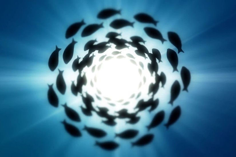 Illustration of a Group of Fish Swimming in a Perfect Circle Stock Video  Footage - VideoBlocks