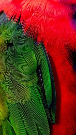 1440x2560 Wallpaper feathers, green, red, bird
