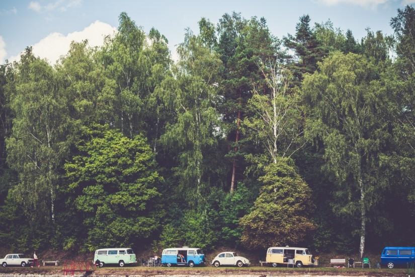 Preview wallpaper trees, forest, vans, camping 1920x1080