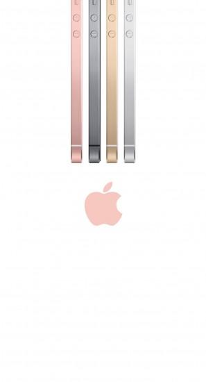 Applegoldlogorose. iPhone 7 Plus wallpaper