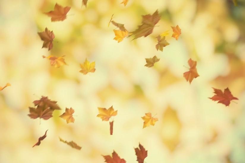 most popular leaves background 1920x1080 for iphone 7