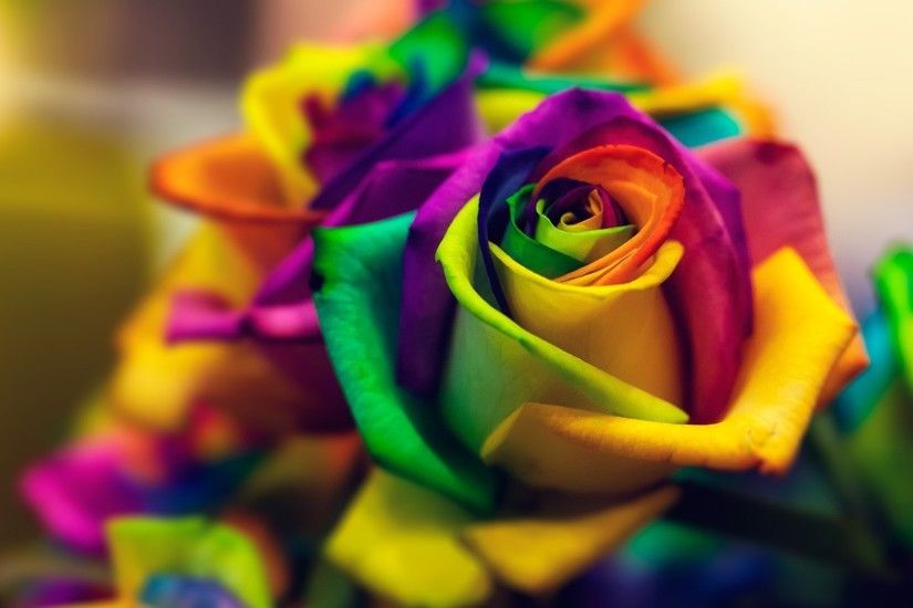 1920x1080 Good morning my love, brought a rainbow rose, love you! [Message]  [Quotes and Poems]