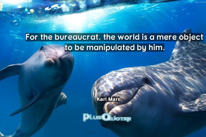Download Wallpaper with inspirational Quotes- "For the bureaucrat, the  world is a mere