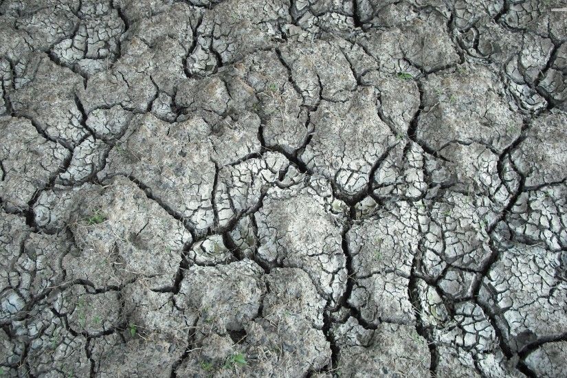 Cracks In Dryed Soil