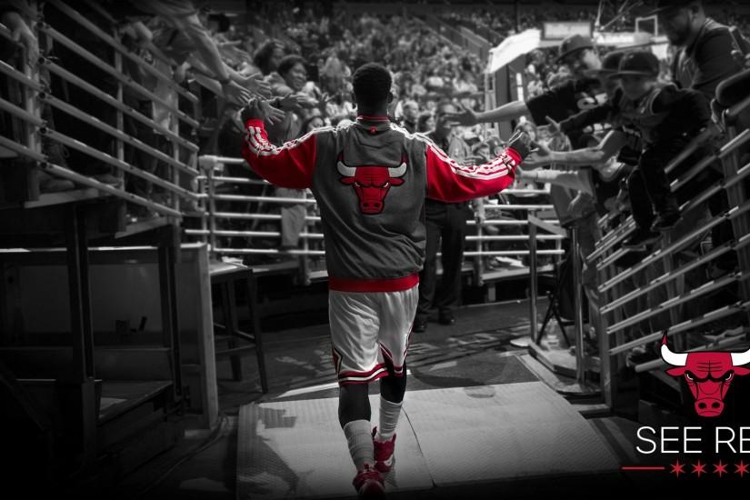 chicago bulls wallpaper free desktop wallpapers