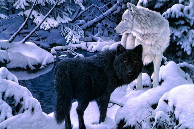 Wolf Wallpapers And Backgrounds Hd #18182 Wallpaper | Wallpaper hd