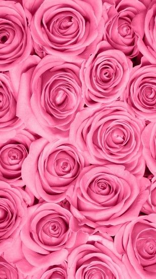 Spring Wallpaper, Rose Wallpaper, Mobile Wallpaper, Cellphone Wallpaper,  Designer Wallpaper, Pink Flowers, Pink Roses, Background Images, Beautiful  Roses