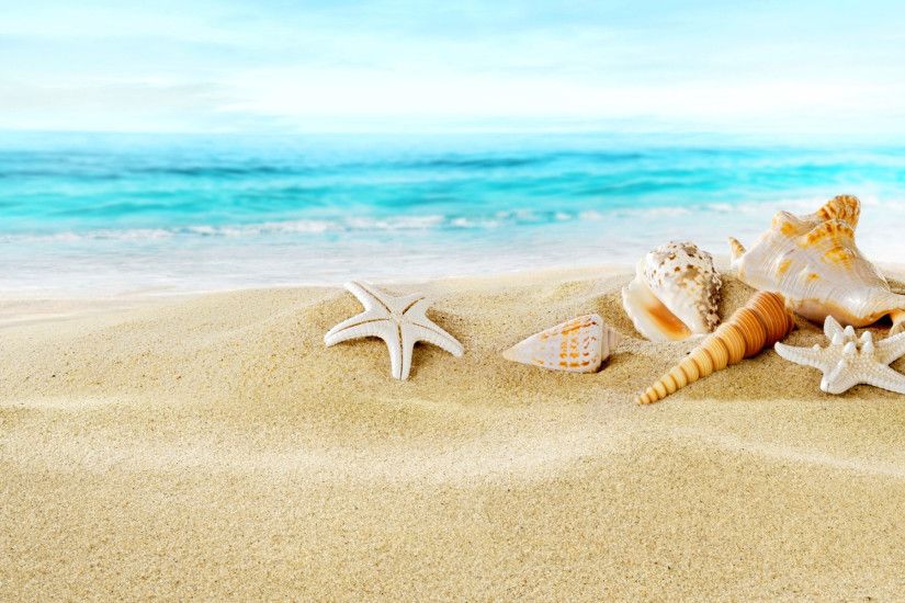 beach sand with shells. seashells on sand beach wallpaper for widescreen  desktop pc 1920x1080 with