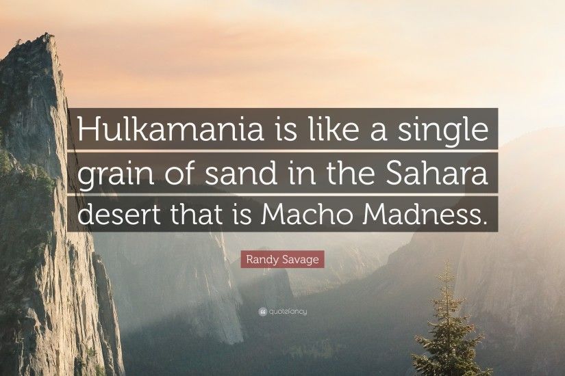 Randy Savage Quote: “Hulkamania is like a single grain of sand in the Sahara