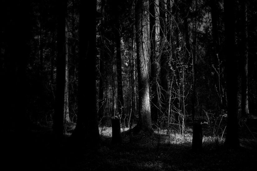 Dark woods HD Wallpaper 1920x1080 Dark woods HD Wallpaper 1920x1200