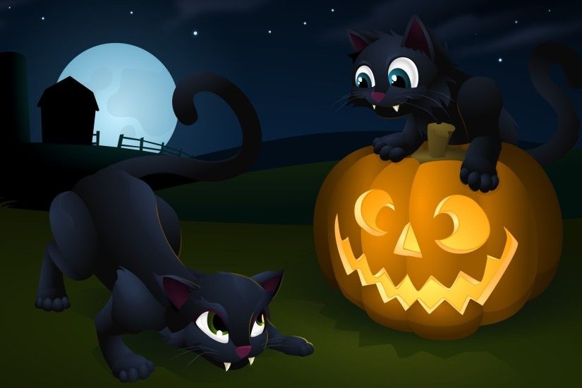 Jack-o'-lantern and kittens wallpaper 2560x1440 jpg