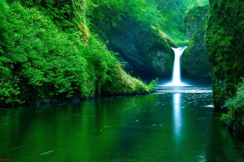 nature wallpaper 1920x1080 for pc