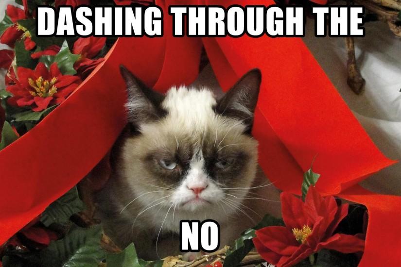 Grumpy Cat Meme Pictures humor funny cats christmas wallpaper .