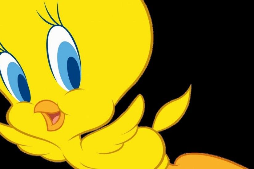 Tweety HD Images : Get Free top quality Tweety HD Images for your desktop  PC background