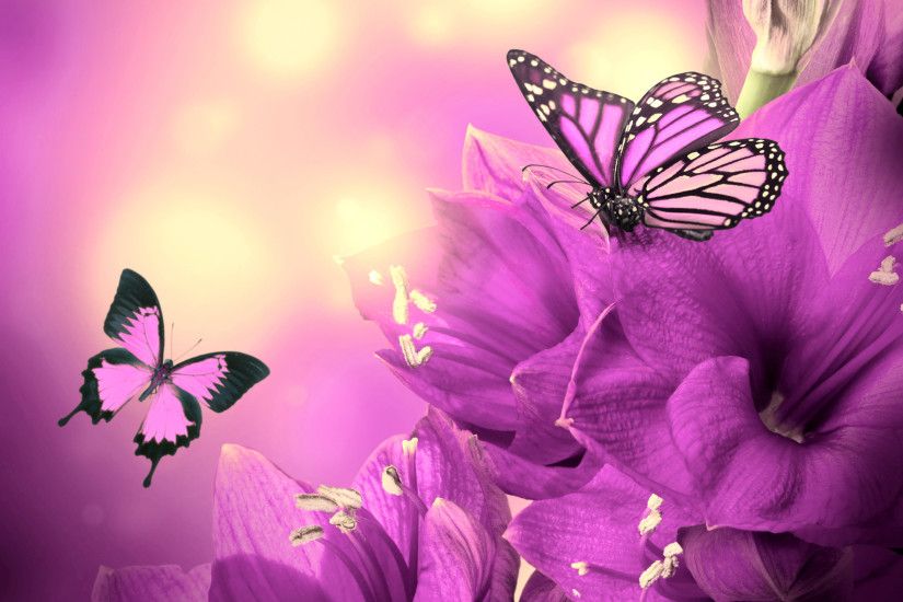 Purple Flowers and Butterflies 7310