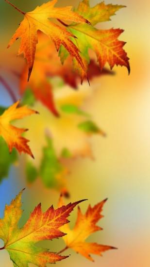 Samsung Galaxy S7 and S7 Edge Alternative Wallpapers - autumn leaves