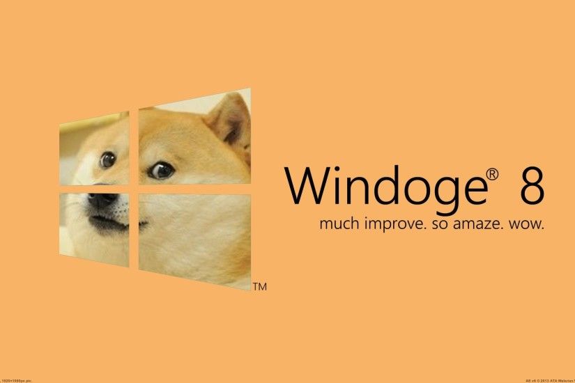 Doge Wallpapers For Android