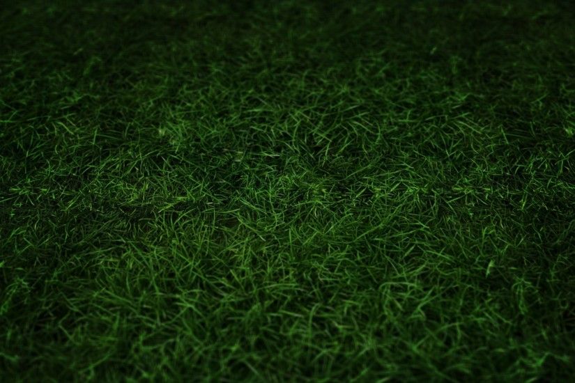 Football Field Grass Wallpaper Green grass 1280x800 wallpaper