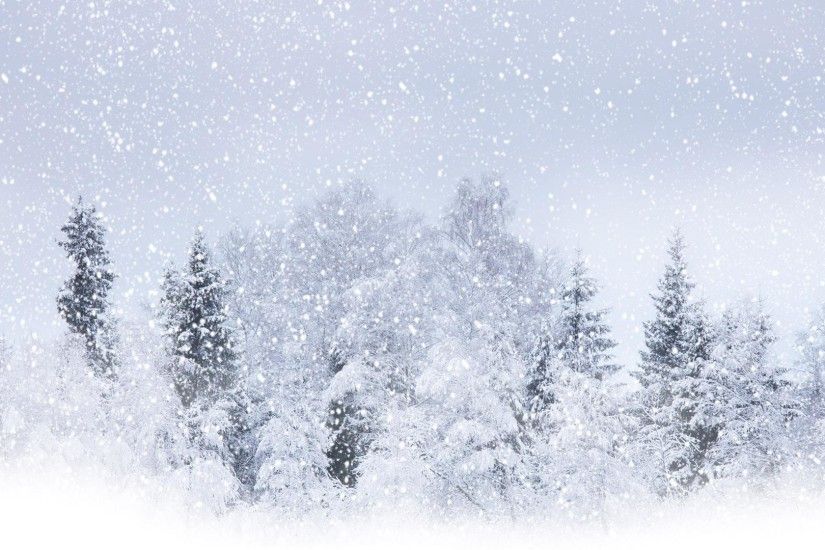 high definition Winter with snow background