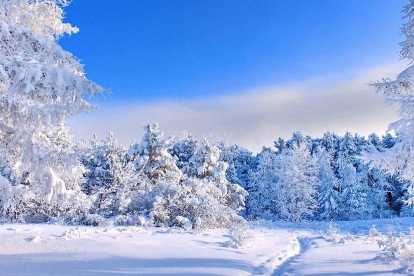 Trees Landscape Nature Winter Snow Desktop Background Of Beauty