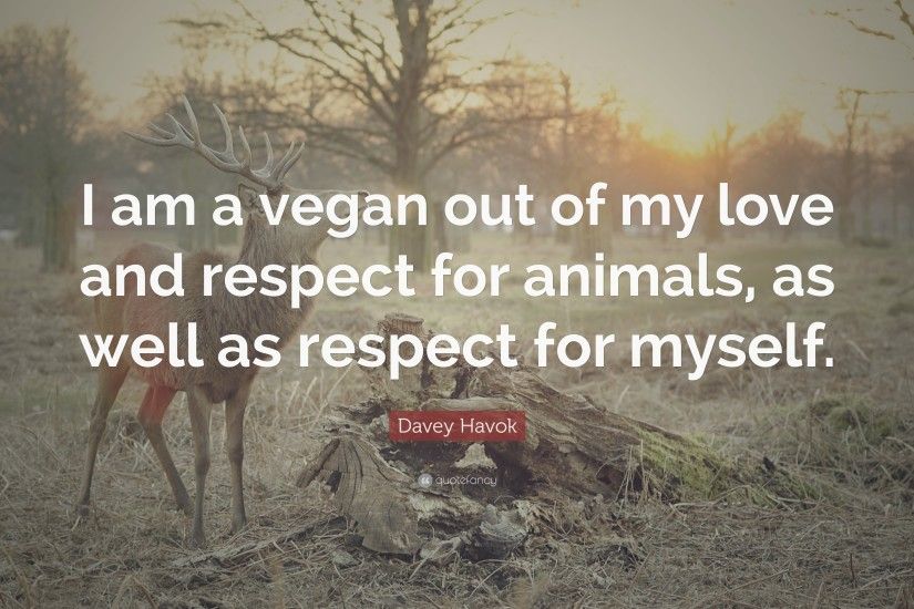 Davey Havok Quote: “I am a vegan out of my love and respect for