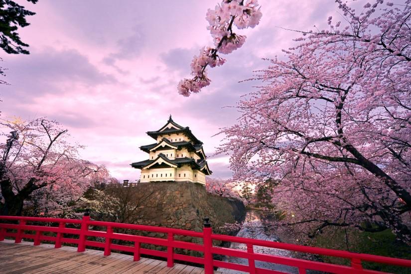 Sakura Desktop Wallpaper - WallpaperSafari ...