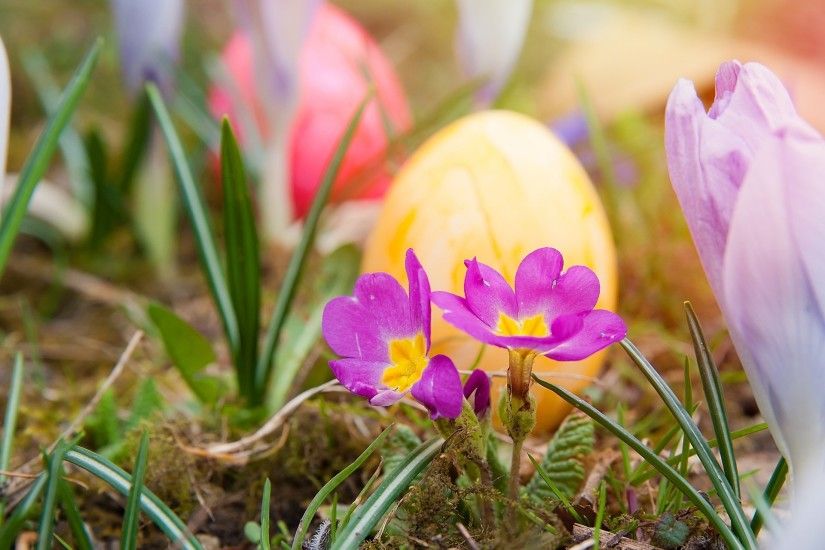 1920x1280 easter wallpaper free download