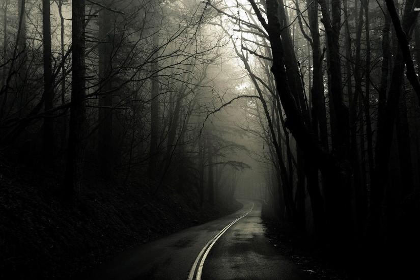 Dark Road Through Woods Wallpaper ...
