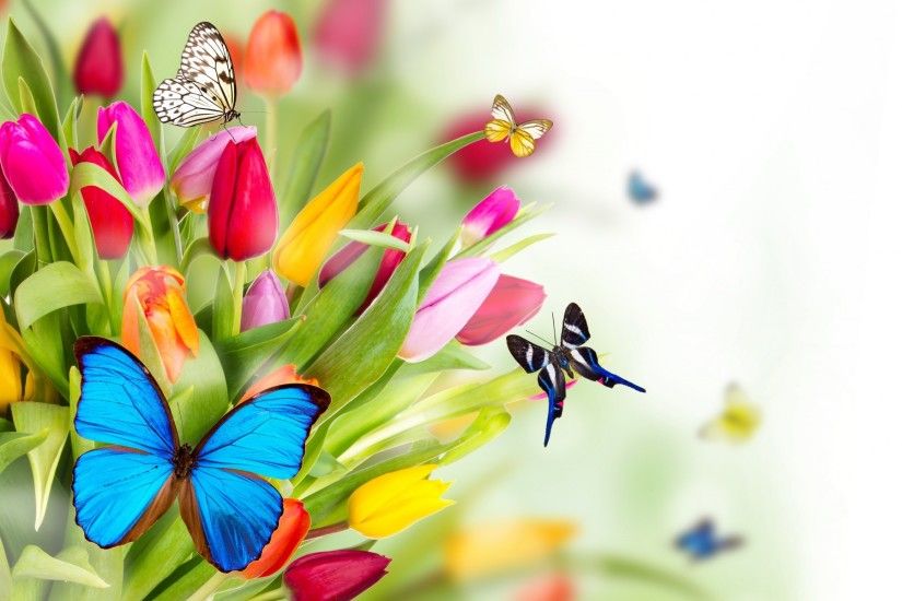 Spring Flowers Wallpaper Desktop Background | Natures Wallpapers .