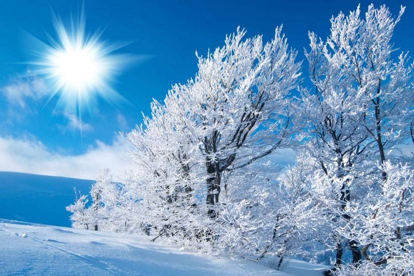 Winter Nature Wallpaper Background - imageswall.com
