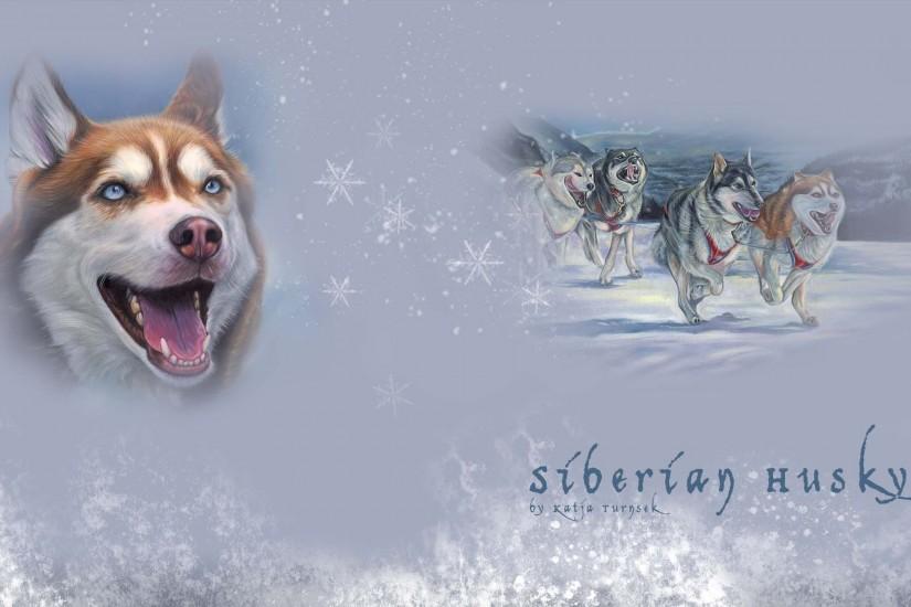 Siberian Husky new wallpapers
